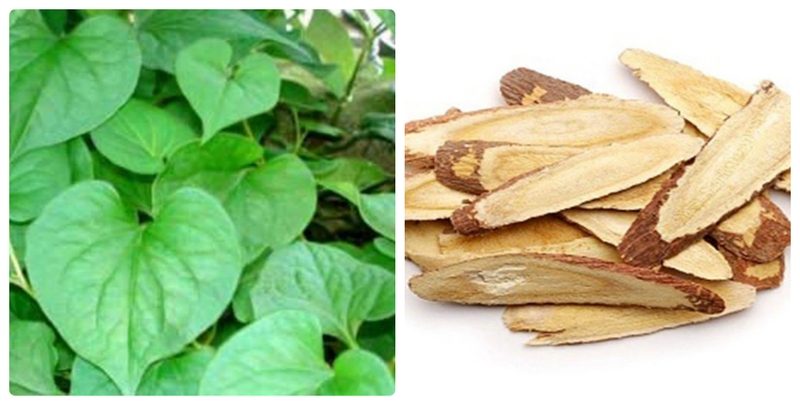 Mách bạn 3 bài thuốc rau diếp cá trị viêm họng vô cùng hiệu quả