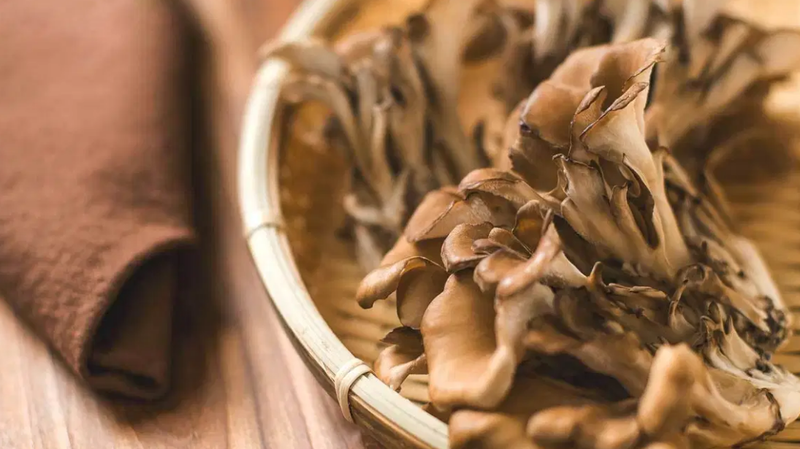 Mách bạn 3 loại nấm hoang dã ăn được và mẹo chọn nấm an toàn 1