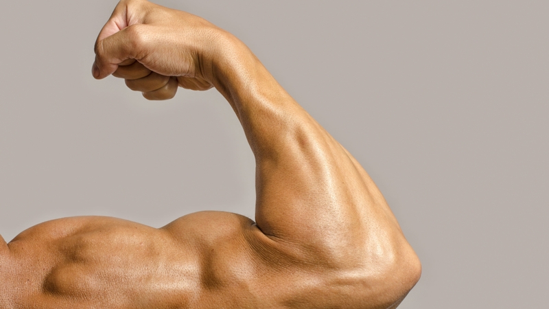 Mách bạn các bài tập cơ tay trước (biceps) dễ thực hiện và hiệu quả cao 1