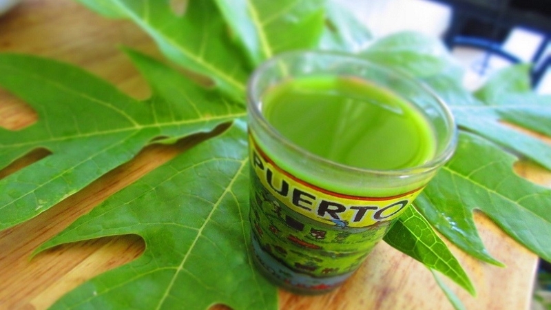 Mách bạn các bài thuốc dân gian trị bệnh sán chó hiệu quả bất ngờ 3