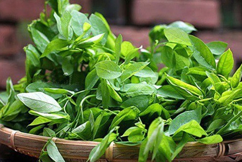 Mách bạn các cách chữa nấm họng bằng thuốc dân gian 1