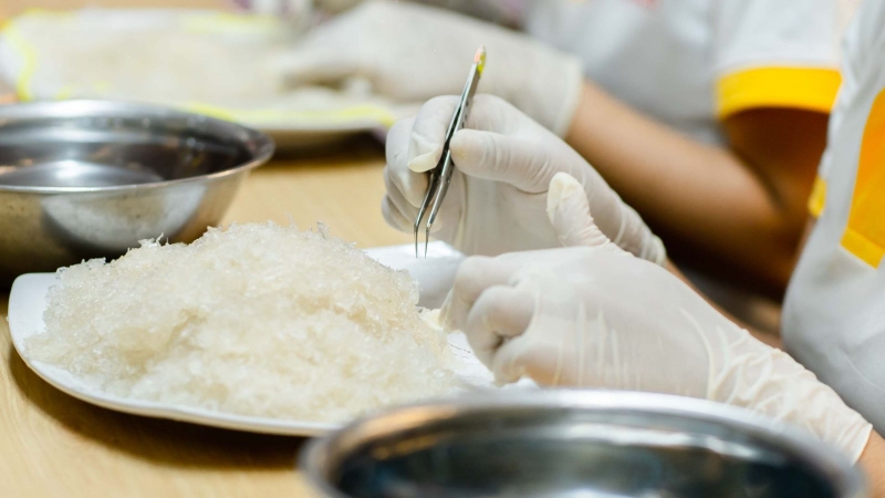 Mách bạn cách bảo quản yến đã nhặt lông cực hay không phải ai cũng biết 1