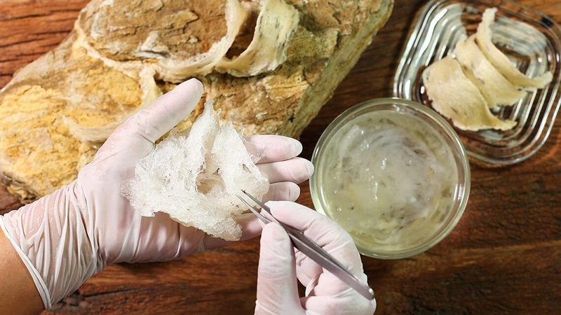 Mách bạn cách bảo quản yến đã nhặt lông cực hay không phải ai cũng biết 4