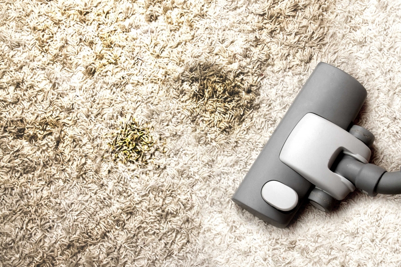 Mách bạn cách hạn chế các cơn bộc phát hen suyễn tại nhà