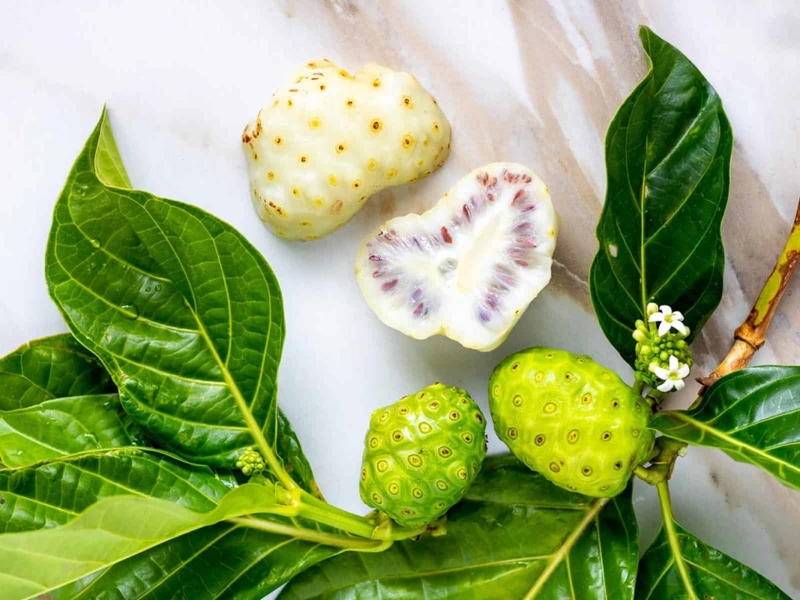 Mách bạn cách sử dụng trái nhàu trị bướu cổ tại nhà