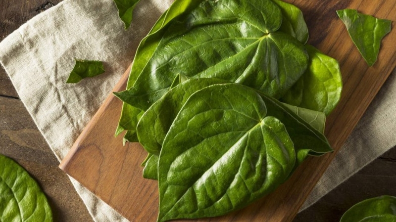 Mách bạn những cách chữa viêm lộ tuyến bằng lá trầu không hiệu quả tại nhà 6