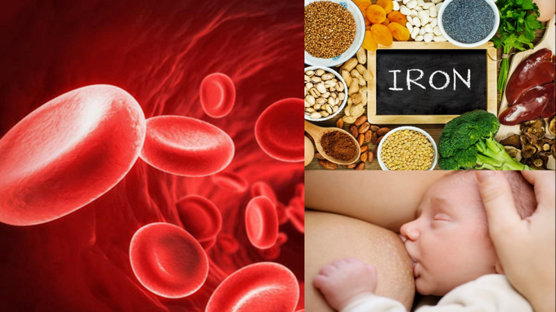 Mách chị em các loại thuốc sắt cho mẹ sau sinh 2
