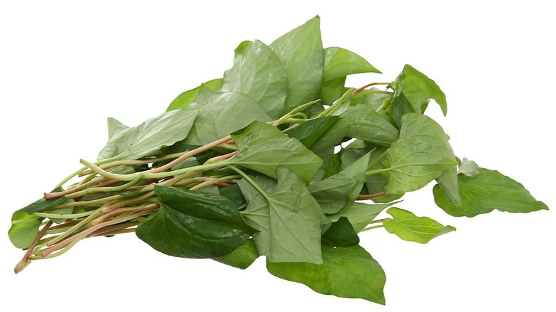 Mách chị em cách chữa kinh nguyệt không đều tại nhà an toàn, hiệu quả 3