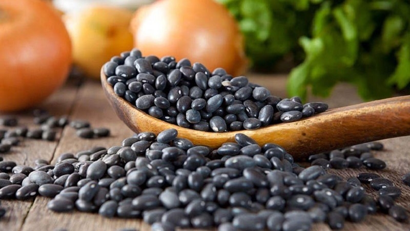 Thắc mắc: Uống đậu đen xanh lòng làm đẹp da có đúng không? 4