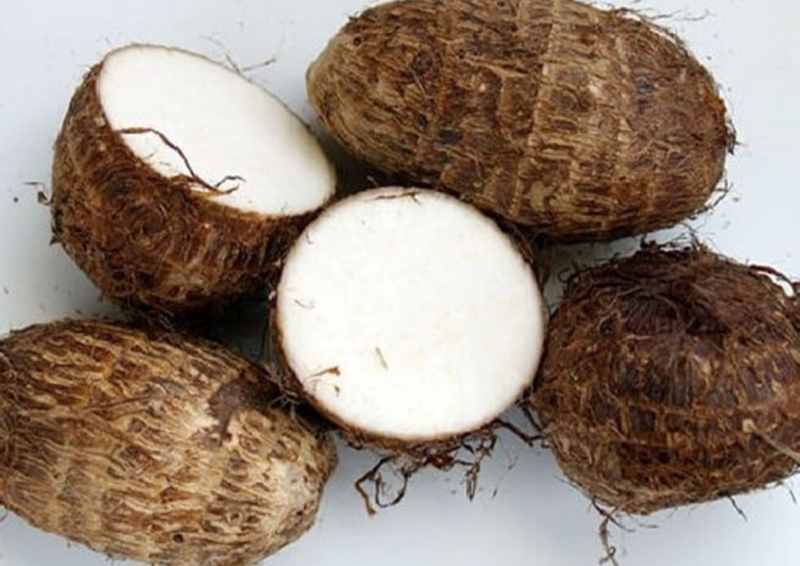 Mách mẹ 3 món cháo khoai sọ cho bé ăn dặm bổ dưỡng 1