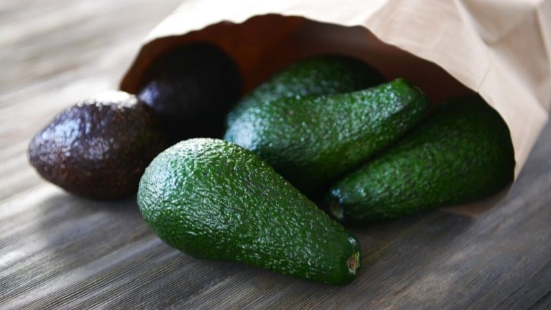 Mách mẹ cách bảo quản bơ cho bé ăn dặm 4