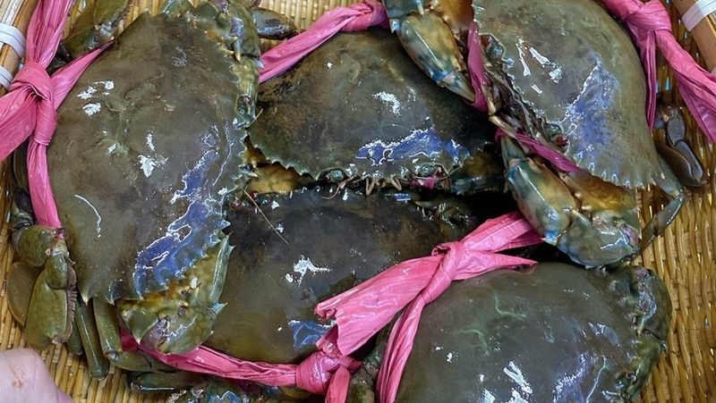 Mách mẹ cách bảo quản cua biển cho bé ăn dần tươi ngon như mới mua về 3