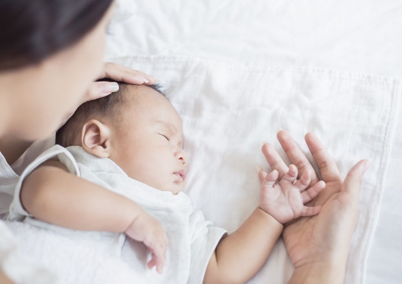 Mách mẹ cách làm món cháo cá chẽm cho bé ăn dặm tại nhà siêu ngon 4