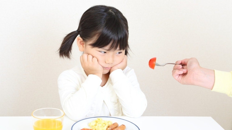 Mách phụ huynh thực đơn cho trẻ 5 tuổi biếng ăn 1