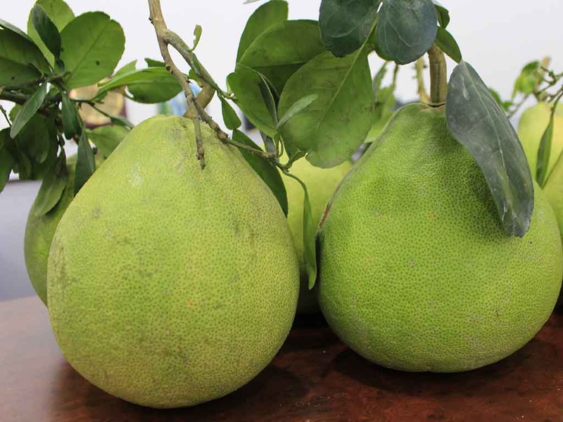 mâm ngũ quả ngày tết 2