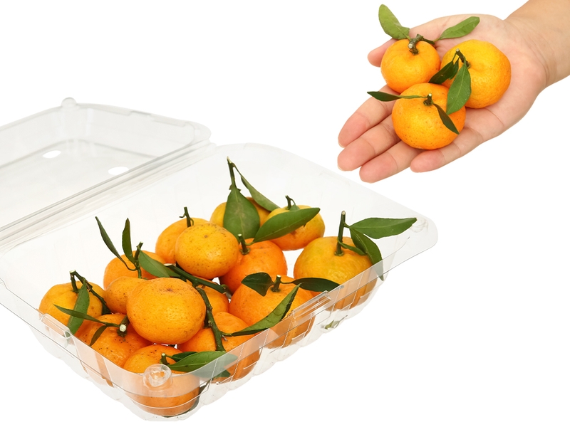 mâm ngũ quả ngày tết 3