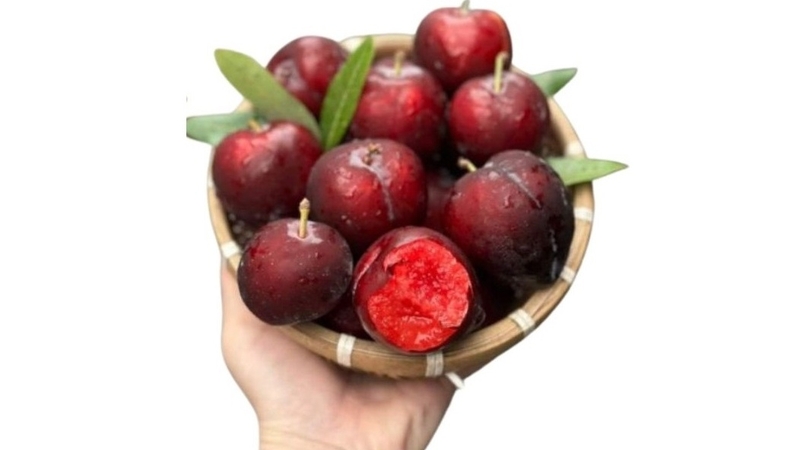 Mận cherry: Vừa ngon miệng, vừa đẹp mắt lại tốt cho sức khỏe 3