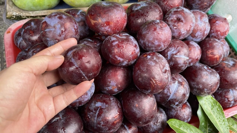 Mận đen trị táo bón và những điều cần lưu ý khi sử dụng 2