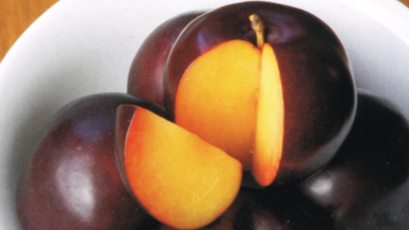 Mận đen trị táo bón và những điều cần lưu ý khi sử dụng 4