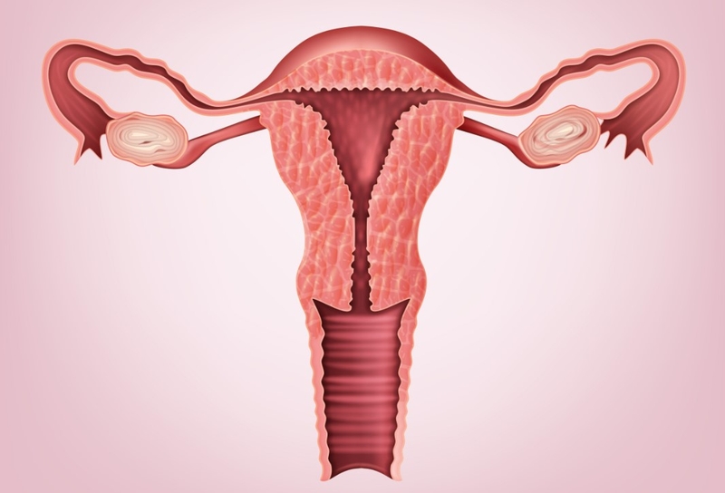 Mãn kinh muộn là gì? Có tốt cho sức khỏe không? 1