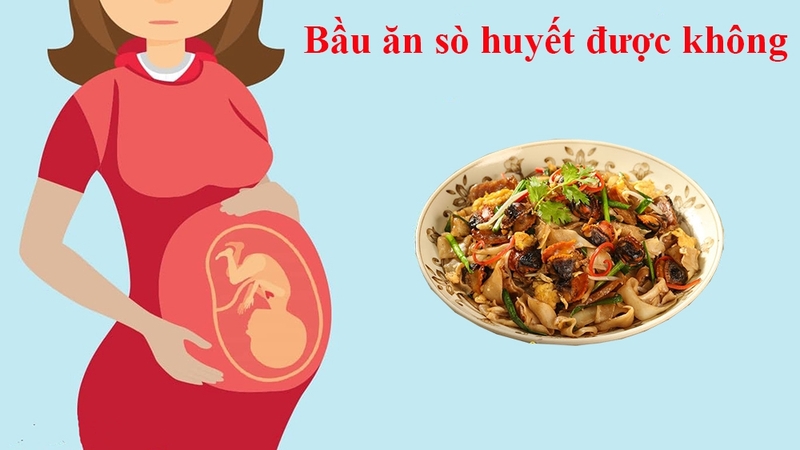 Mang bầu ăn sò huyết được không? Sò huyết có tốt cho thai kỳ không?1
