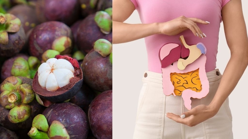 Măng cụt: Ăn chúng có lợi gì cho sức khỏe? 2