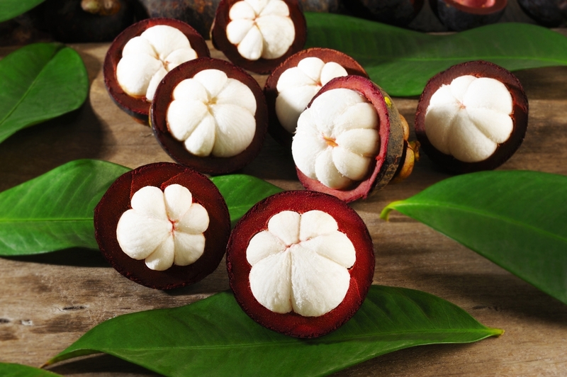 măng cụt có ăn được hạt không 3