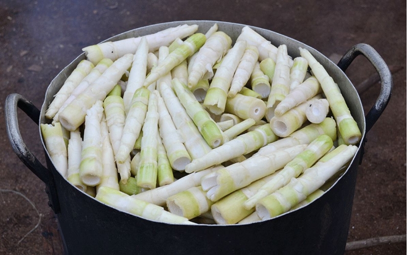 Thành phần dinh dưỡng và lợi ích sức khỏe của măng le 1