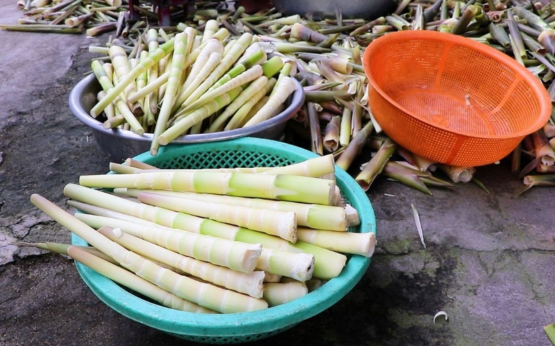 Thành phần dinh dưỡng và lợi ích sức khỏe của măng le 3