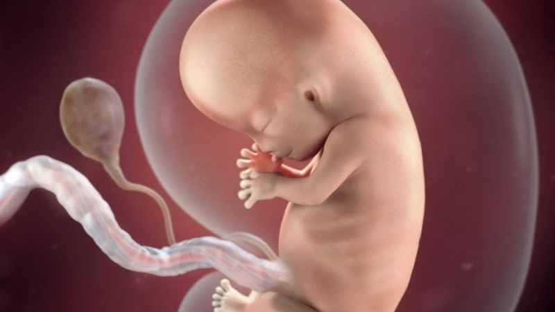 mang-thai-10-tuan-bung-da-to-chua-bi-quyet-theo-doi-su-phat-trien-cua-thai-nhi 1