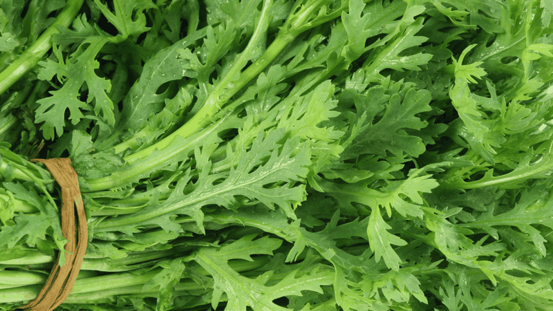 Hãy rửa thật sạch và kỹ trước khi chế biến để đảm bảo an toàn và tránh gây đau bụng cho mẹ bầu