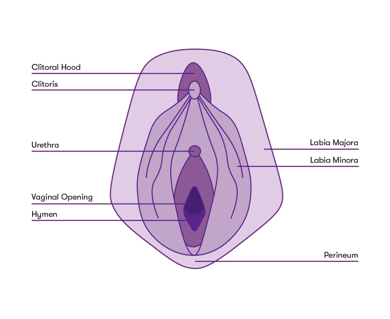 Màng trinh không thủng: Nguyên nhân, phương pháp điều trị và phòng ngừa 1