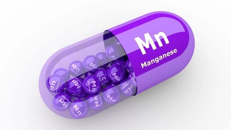 Mangan là đồng yếu tố của nhiều enzyme quan trọng