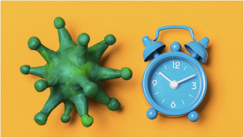 Mất bao lâu để bệnh dại khởi phát? 3