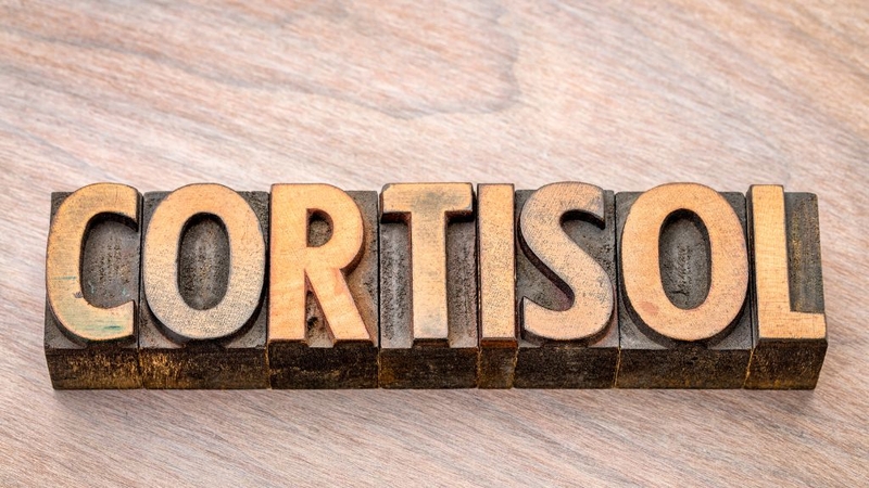 Mất bao lâu để giảm mỡ bụng? Sự thật và những yếu tố quan trọng 2