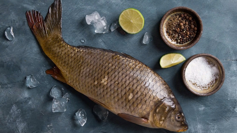 Mật cá trắm: Công dụng và những lưu ý quan trọng 1