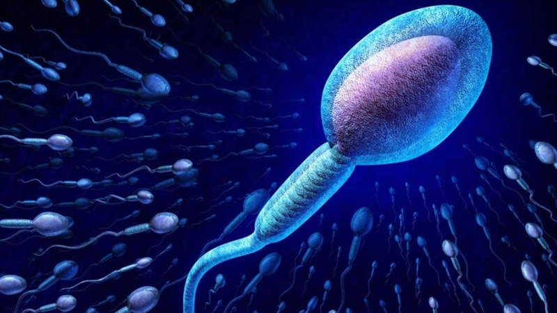 Mật độ tinh trùng là gì? Các xét nghiệm cần có trong tinh dịch đồ 4