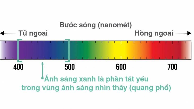 Mắt kính chống ánh sáng xanh có thật sự cần thiết? 2