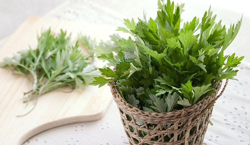 Mất kinh nguyệt là gì? Làm sao để có kinh nguyệt trở lại? 3