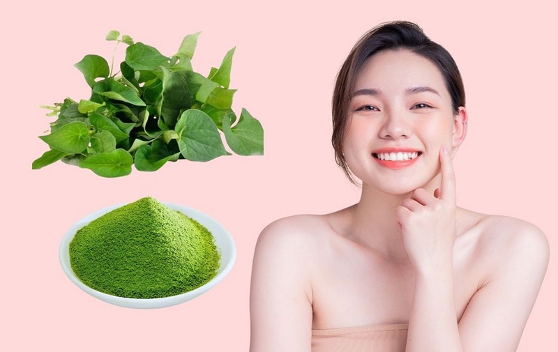 Mặt nạ bột diếp cá sữa tươi: Siêu phẩm cho làn da tươi trẻ và khỏe mạnh 2