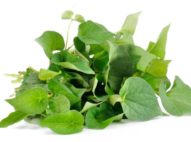 Mặt nạ diếp cá có tác dụng gì?Lưu ý khi sử dụng