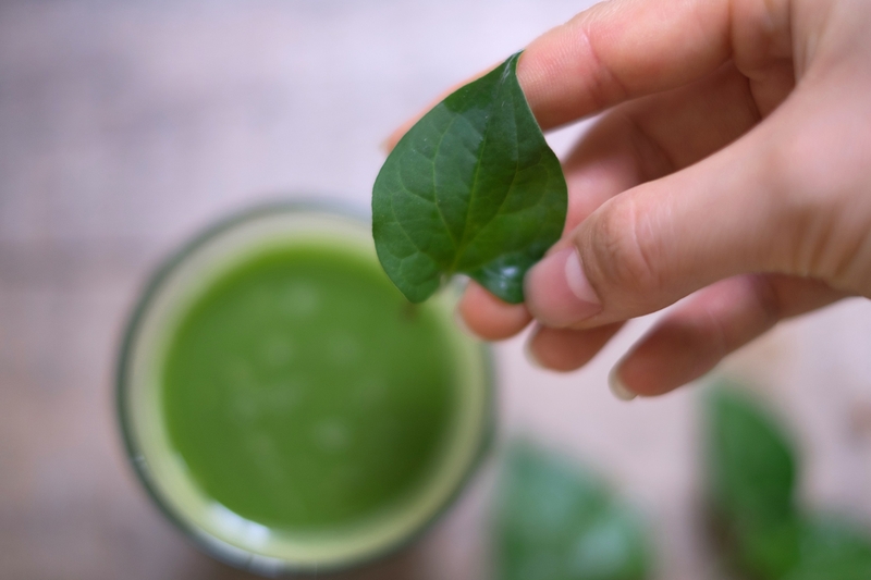 Mặt nạ diếp cá có tác dụng gì?Lưu ý khi sử dụng 2