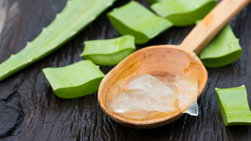 Chiết xuất từ gel nha đam tươi