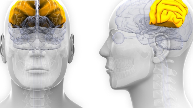 Mất nhận thức là gì? Cách chẩn đoán và điều trị 3