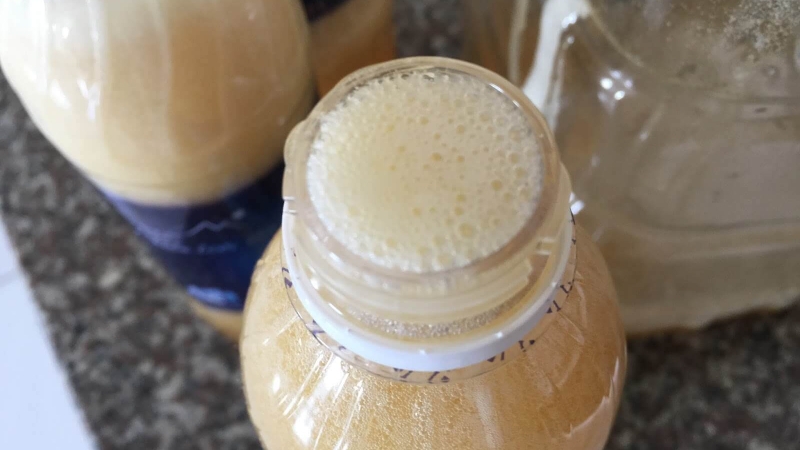 Mật ong bị sủi bọt có bị sao không? 3