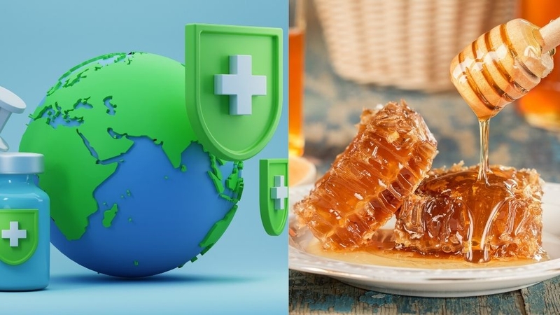 Mật ong rừng nhiệt đới: Thành phần dinh dưỡng, tác dụng 2