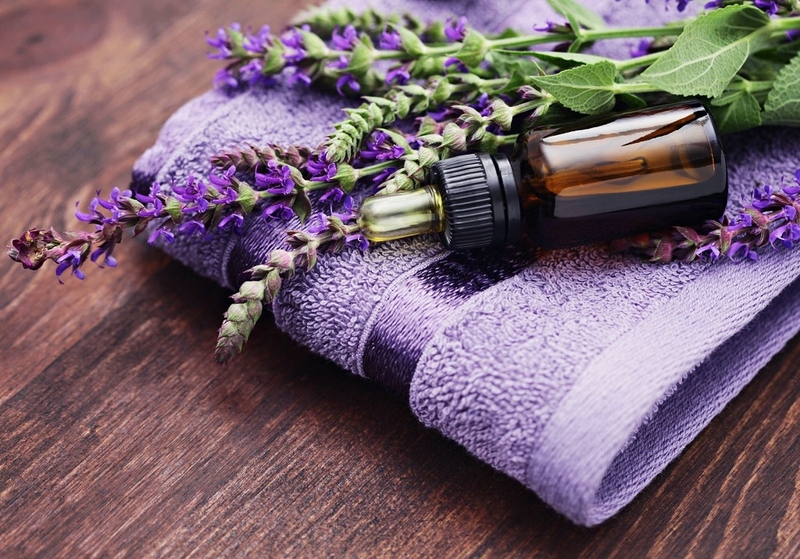 Ngoài mật ong trị khô mắt còn nhiều cách cải thiện thể lực cho dân văn phòng 2