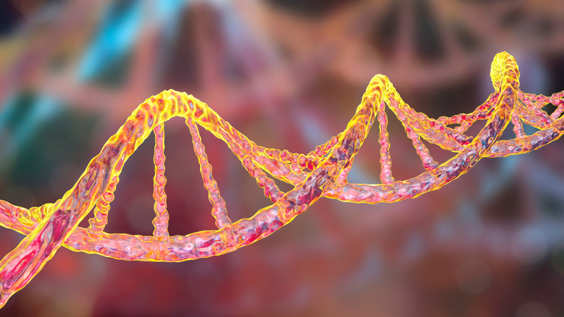 Yếu tố di truyền từ gia đình