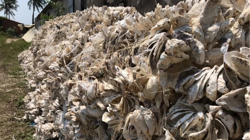 Không nên dùng mẫu lệ tùy tiện mà chưa có sự tư vấn chuyên môn