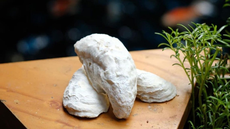 Mẫu lệ mang đến nhiều lợi ích sức khỏe khi được dùng đúng cách